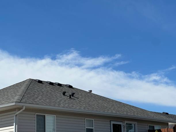 Best Roof Maintenance and Cleaning  in Winnsboro Mills, SC